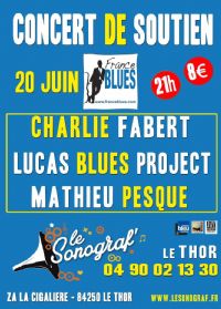 3 groupes en concert de soutien à France Blues. Le samedi 20 juin 2015 au Thor. Vaucluse.  21H00
